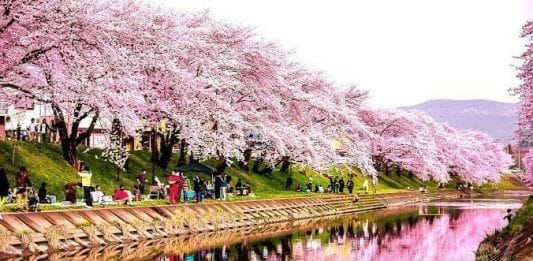 Cuándo viajar a Japón