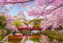 Viajar a Japón en primavera Viajar a Japón en primavera