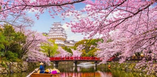 Viajar a Japón en primavera