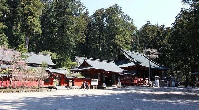 Guía de Nikko