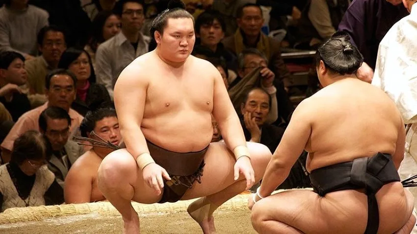 Luchadores en torneo de sumo de Japón