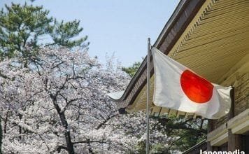 Los mejores sitios para ver Sakura en Japón: Destinos recomendados para la primavera japonesa mejores sitios para ver cerezos en flor en Japón