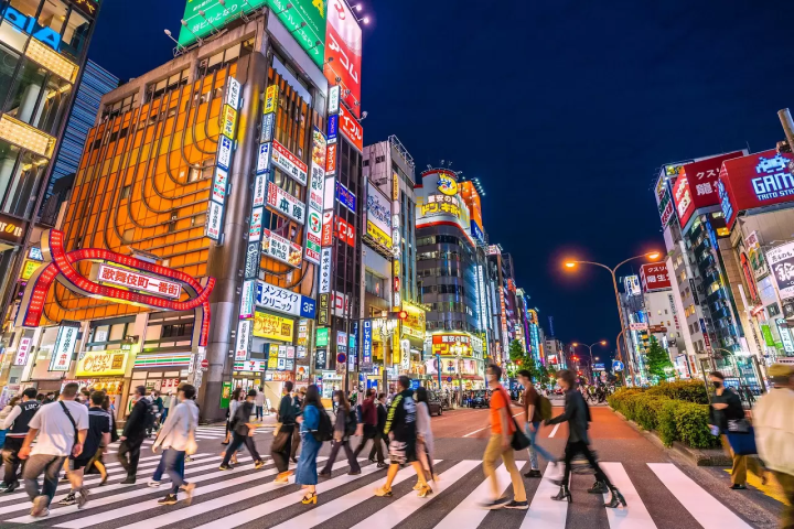 Free tour nocturno por Tokio