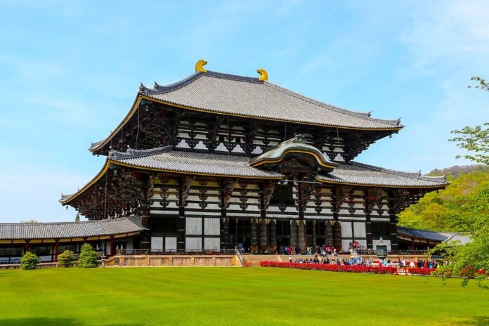 Mejor excursión a Nara desde Kioto
