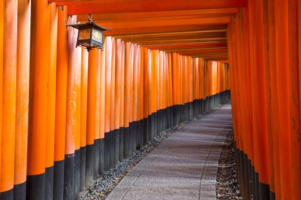 Excursión privada a Nara y santuario Inari