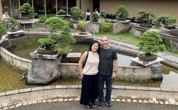 Dónde ver bonsáis en Japón: museos parques y exposiciones Ver bonsáis en Japón