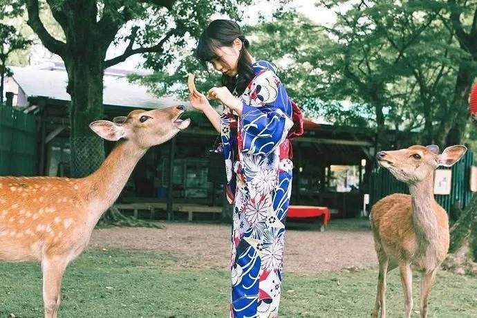 Paseo en Kimono 