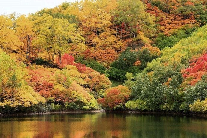 Paisajes japoneses