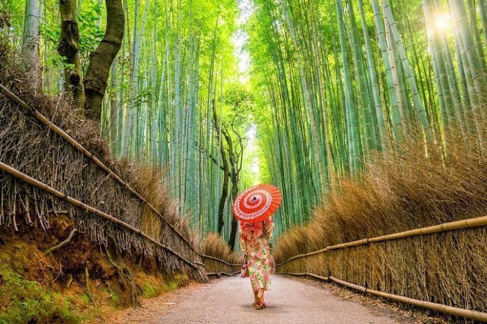 Viaje fotográfico Japón