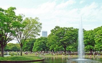El parque Yoyogi de Tokio Qué ver en el parque Yoyogi