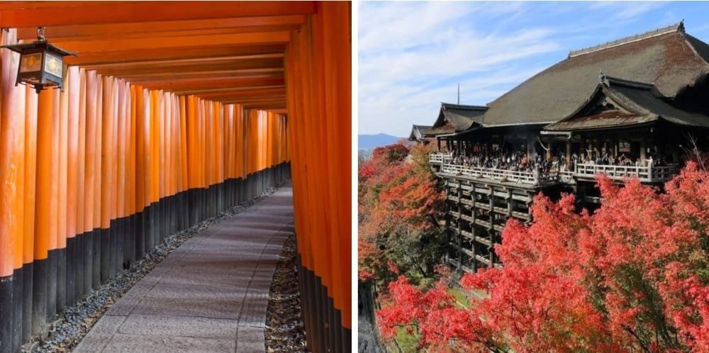 Visita por el santuario Fushimi Inari-Taisha y el templo de Kiyomizu-dera