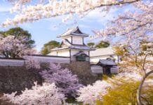 Tour por Kanazawa en guía en español Tour Kanazawa español