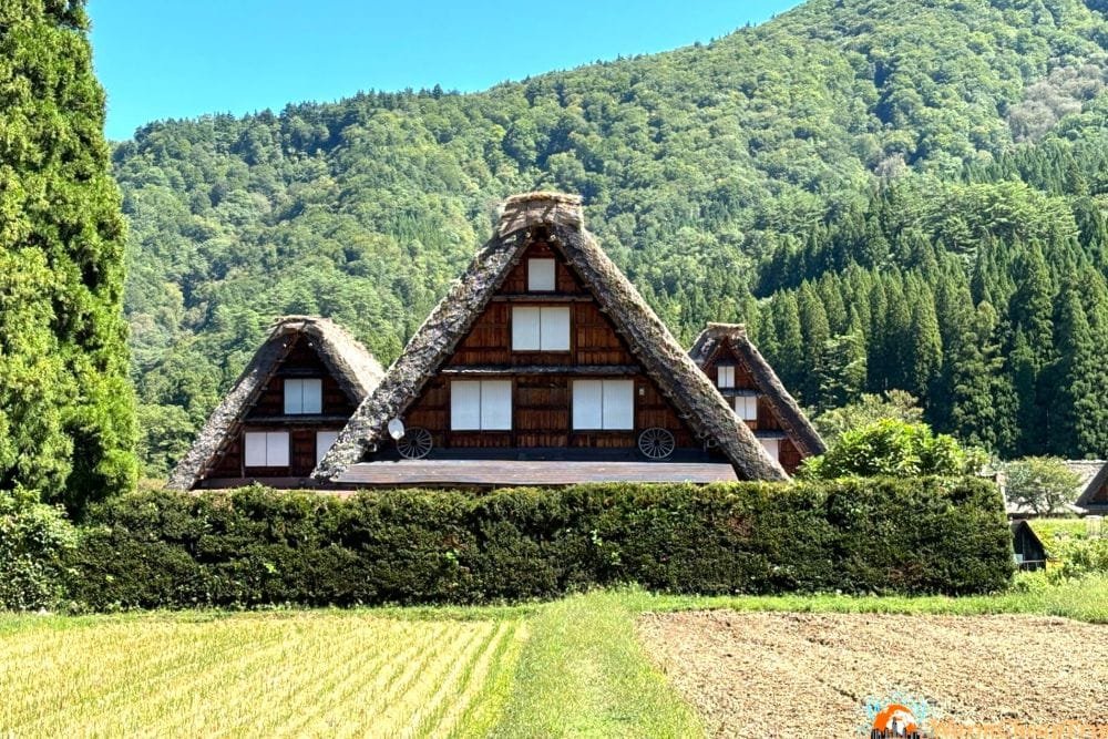 Excursión a Shirakawago desde Osaka