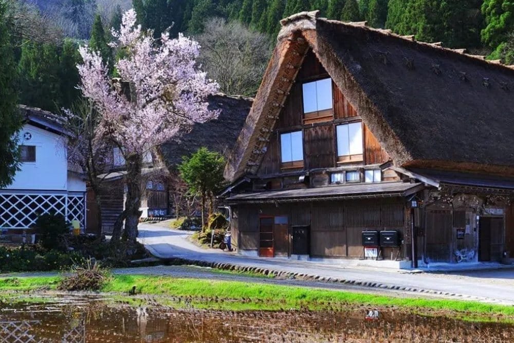Excursión a Shirakawago desde Takayama
