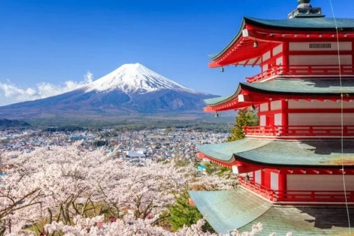 Tour desde Tokio hasta Kioto