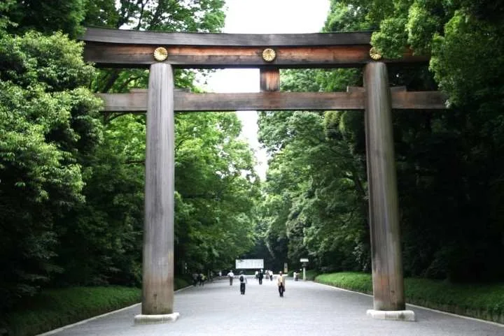 Visitar Santuario Meiji Tokio