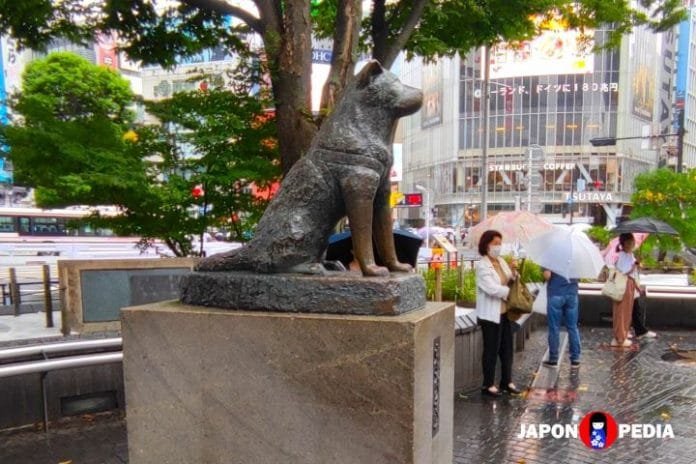 Estátua De Bronze Do Cão Famoso Hachiko, Quadrado De Hachiko