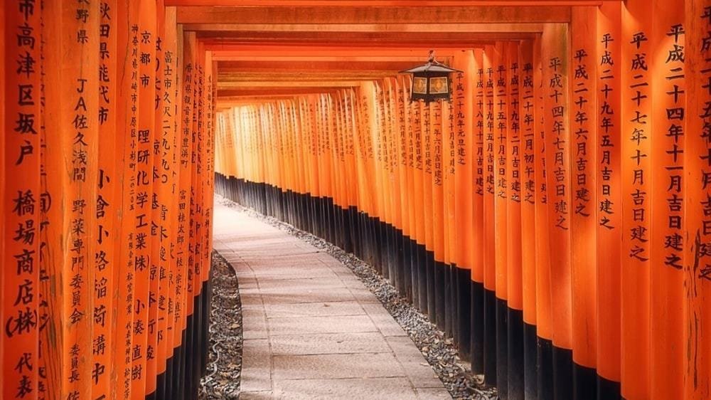 Opiniones de Japonal