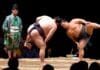 Entradas para entrenamiento y torneo de sumo en Fukuoka torneo y entrenamiento sumo en Fukuoka