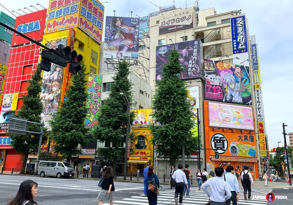 Tour privado Akihabara español