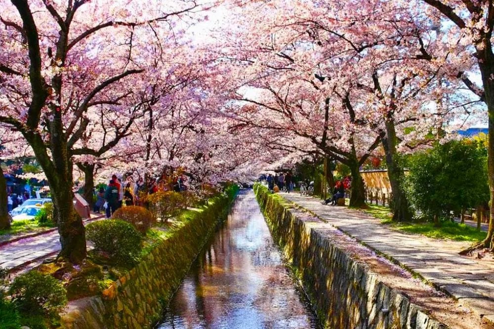 Mejor free tour por el camino del filósofo de Kioto