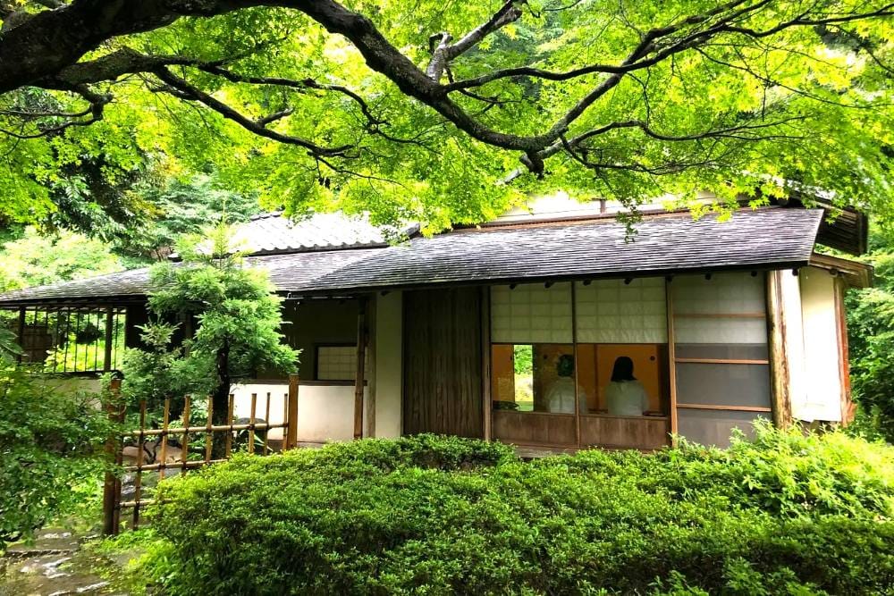 Ceremonia del té de Japón en Houan Tea Ceremony, Kamakura