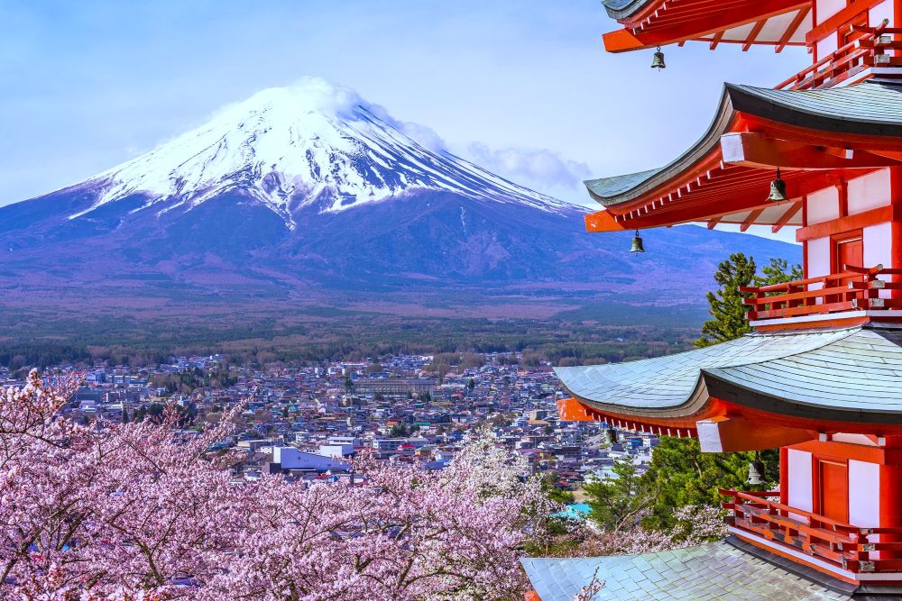 Información del seguro de viaje para Japón obligatorio