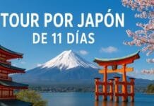 Tour por Japón de 11 días: circuitos y agencias recomendadas 2026 Tour de 11 días por Japón