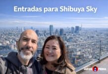 Entradas para Shibuya Sky: precios, opciones y nuestra experiencia Entradas para subir a Shibuya Sky en Tokio