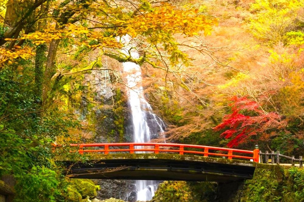 Excursión a de Minoo desde Osaka