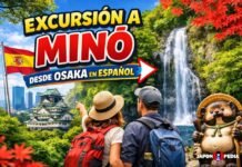 Excursión a Minoo desde Osaka: Mejores tours en español 2026 Excursión Minō desde Osaka