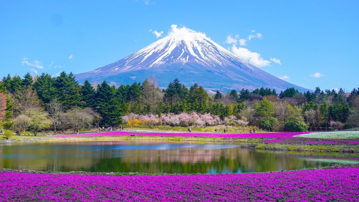 Japonal 