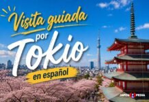 Visita guiada por Tokio en español 2026: Itinerario, precios y consejos Mejor visita guiada Tokio en español