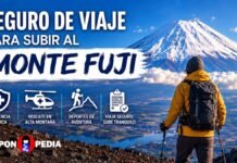 Seguro de viaje para el Monte Fuji: Cobertura para alcanzar la cima con seguridad Seguro de viaje para subir al Monte Fuji